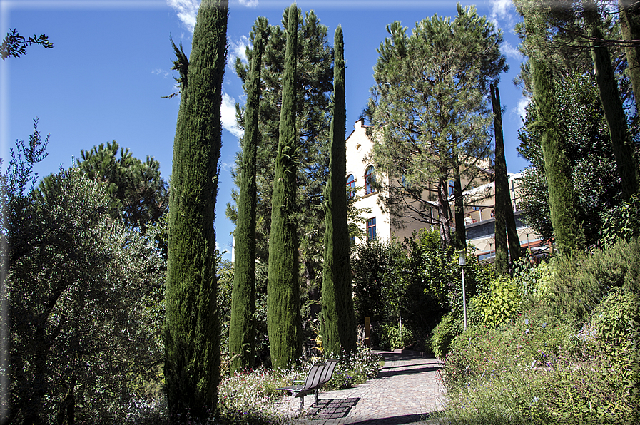 foto Giardini Trauttmansdorff - Giardini del Sole